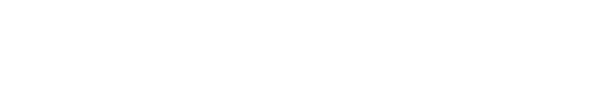 Newdent Logo-Ghazal Farha